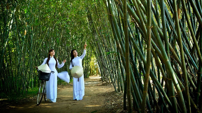 Giới thiệu với bạn bè quốc tế về hình ảnh cây tre trong dời sống con người Việt Nam Sách Giải