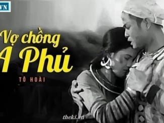 phan-tich-vo-chong-a-phu-to-hoai