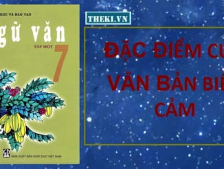 dac-diem-cua-van-ban-bieu-cam-ngu-van-7-11709-2