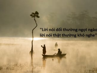 loi-noi-doi-thuong-ngot-ngao