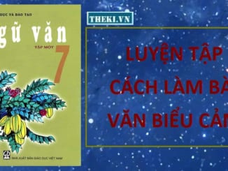 luyen-tap-cach-lam-bai-van-bieu-cam-ngu-van-7-11697-2