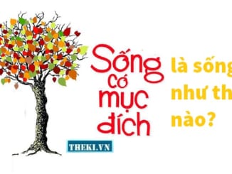 song-co-muc-dich