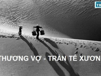 tam-long-thuong-vo-cua-tran-te-xuong-qua-bai-tho-thuong-vo-12467-2