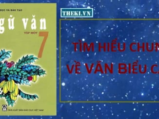 tim-hieu-chung-ve-van-bieu-cam-ngu-van-7-11712-2