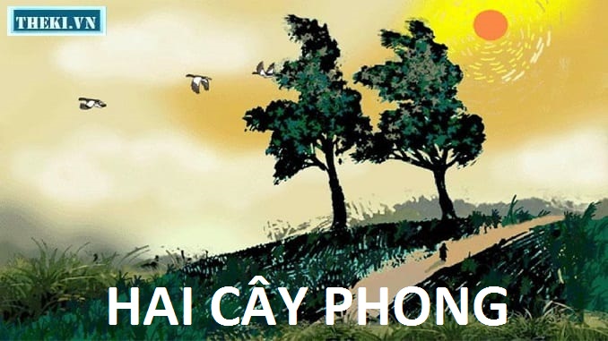 hai-cay-phong-ai-ma-top