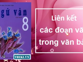 lien-ket-cac-doan-van-trong-van-ban-ngu-van-8