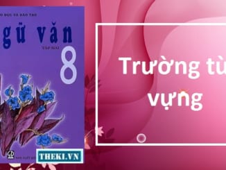 truong-tu-vung-ngu-van-8