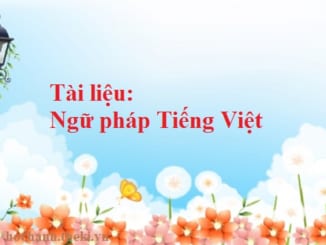 Tài liệu Ngữ pháp Tiếng Việt