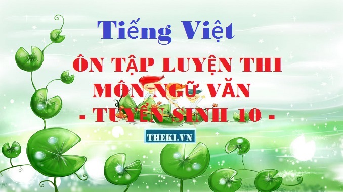 tai-lieu-on-tap-tieng-viet-tuyen-sinh