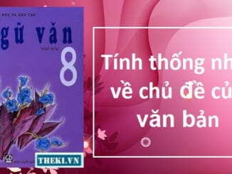 tinh-thong-nhat-ve-chu-de-cua-van-ban
