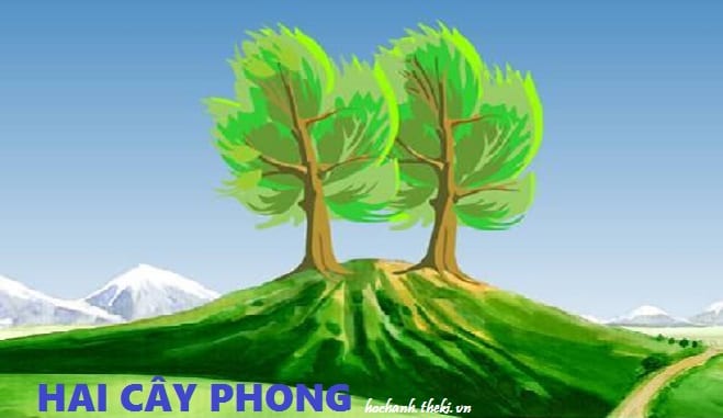 Hai cây phong, biểu tượng của sự bền vững và phú quý trong văn hóa Việt Nam. Một cảnh tượng đẹp đến ngỡ ngàng được ghi lại trong bức tranh. Cùng chiêm ngưỡng và tìm hiểu về ý nghĩa của hai cây phong nhé!
