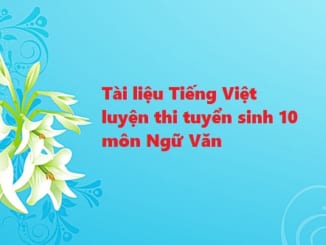 tai-lieu-tieng-viet-luyen-thi-tuyen-sinh-10-mon-ngu-van
