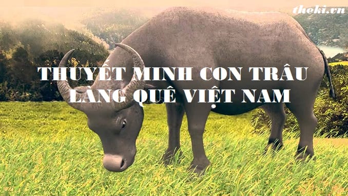 Thuyết Minh Nguồn Gốc, Đặc Điểm Và Vai Trò Của Con Trâu Trong Đời Sống Con  Người Việt Nam - Theki.Vn