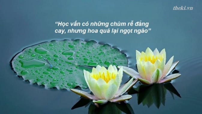 nghi-luan-hoc-van-co-nhung-chum-re-dang-cay-nhung-hoa-qua-lai-ngot-ngao