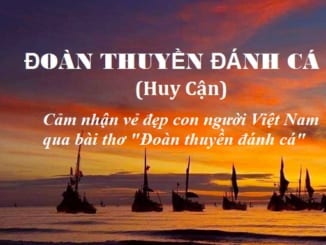 cam-nhan-ve-dep-con-nguoi-viet-nam-qua-bai-tho-doan-thuyen-danh-ca