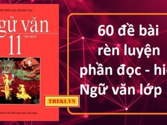 60-de-bai-ren-luyen-phan-doc-hieu-ngu-van-lop-11