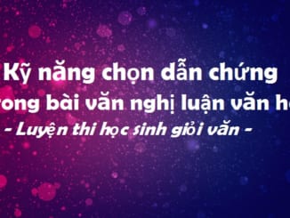 ky-nang-chon-dan-chung-trong-bai-van-nghi-luan-van-hoc-luyen-thi-hoc-sinh-gioi-van-123
