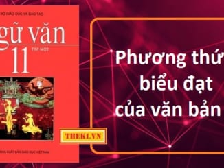 phuong-thuc-bieu-dat-cua-van-ban