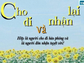 viet-doan-van-nghi-luan-200-chu-song-khong-chi-la-nhan-ma-con-phai-biet-cho-di
