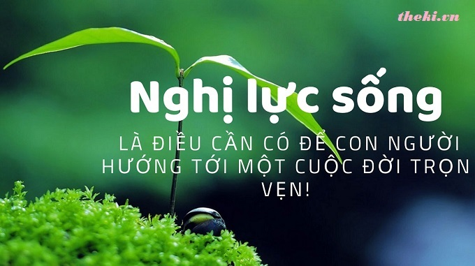 de-bai-doc-hieu-ve-chu-de-nghi-luc-song