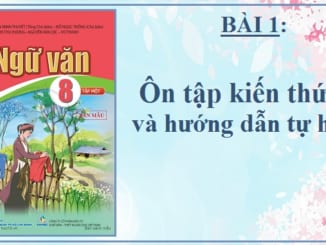bai-1-on-tap-kien-thuc-va-huong-dan-tu-hoc-ngu-van-8-canh-dieu