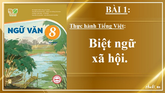 bai-1-thuc-hanh-tieng-viet-bit-ngu-xa-hoi-ngu-van-8-ket-noi-tri-thuc