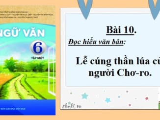 bai-10-doc-hieu-van-ban-le-cung-than-lua-cua-nguoi-cho-ro