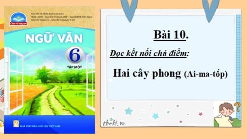 bai-10-doc-ket-noi-chu-diem-hai-cay-phong-ai-ma-top-ngu-van-6-chan-troi-sang-tao