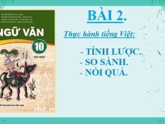 bai-2-thuc-hanh-tieng-viet-ngu-van-10-chan-troi-sang-tao