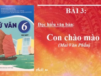 bai-3-con-chao-mao-mai-van-phan-ngu-van-6-ket-noi-tri-thuc