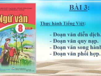 bai-3-doan-van-dien-dich-quy-nap-song-hanh-phoi-hop-ngu-van-8-canh-dieu