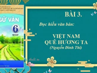 bai-3-doc-hieu-van-ban-viet-nam-que-huong-ta-nguyen-dinh-thi
