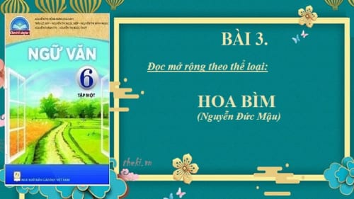 bai-3-doc-mo-rong-theo-the-loai-hoa-bim-nguyen-duc-mau