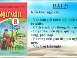 bai-3-kien-thuc-ngu-van-ngu-van-8-canh-dieu