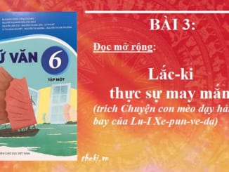 bai-3-lac-ki-thuc-su-may-man-trich-chuyen-con-meo-day-hai-au-bay-cua-lu-i-xe-pun-ve-da-ngu-van-6-ket-noi-tri-thuc