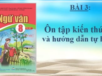 bai-3-on-tap-va-huong-dan-tu-hoc-ngu-van-8-canh-dieu