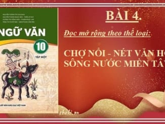 bai-4-cho-noi-net-van-hoa-song-nuoc-mien-tay-ngu-van-10-chan-troi-sang-tao