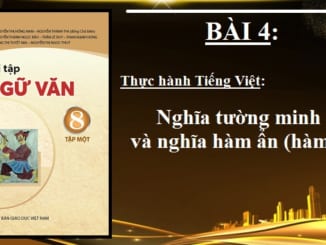 bai-4-thuc-hanh-tieng-viet-bai-4-nghia-tuong-minh-nghia-ham-an-ngu-van-8-tap-1-chan-troi-sang-tao