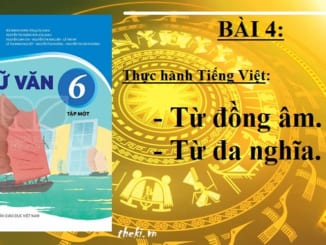 bai-4-thuc-hanh-tieng-viet-tu-dong-am-va-tu-da-nghia-ngu-van-6-ket-noi-tri-thuc