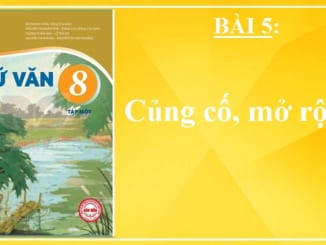 bai-5-cung-co-mo-rong-ngu-van-8-ket-noi-tri-thuc