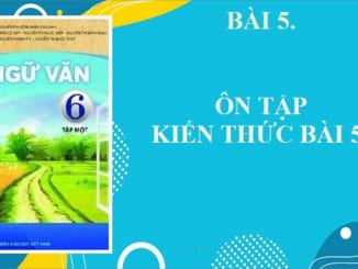 bai-5-on-tap-kien-thuc-bai-5-ngu-van-6-chan-troi-sang-tao