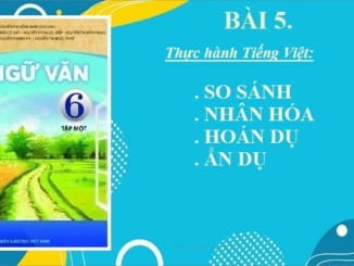 bai-5-thuc-hanh-tieng-viet-so-sanh-nhan-hoa-hoan-du-an-du