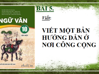 bai-5-viet-mot-ban-huong-dan-o-noi-cong-cong-ngu-van-10-chan-troi-sang-tao