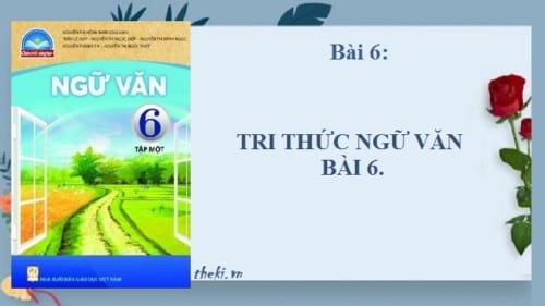 bai-6-tri-thuc-ngu-van-bai-6-ngu-van-6-chan-troi-sang-tao