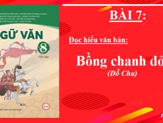 bai-7-bong-chanh-do-do-chu-ngu-van-8-tap-2-chan-troi-sang-tao