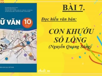 bai-7-con-khuou-so-long-nguyen-quang-sang-ngu-van-10-ket-noi-tri-thuc