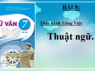bai-8-thuc-hanh-tieng-viet-thuat-ngu-ngu-van-7-ket-noi-tri-thuc