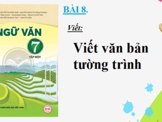 bai-8-viet-van-ban-tuong-trinh-sgk-ngu-van-7-tap-2-sach-chan-troi-sang-tao