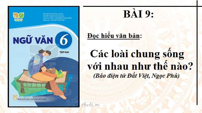 bai-9-cac-loai-chung-song-voi-nhau-nhu-the-nao-ngu-van-6-ket-noi-tri-thuc