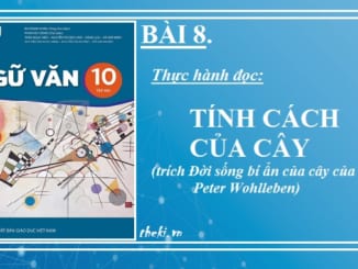 bai-9-tinh-cach-cua-cay-peter-wohlleben-ngu-van-10-ket-noi-tri-thuc